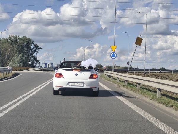 Zdjęcie od Sylwia